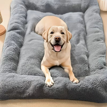 orthopedic dog bed