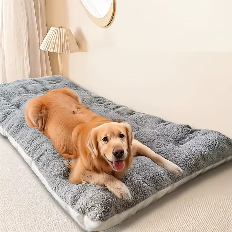 orthopedic dog bed